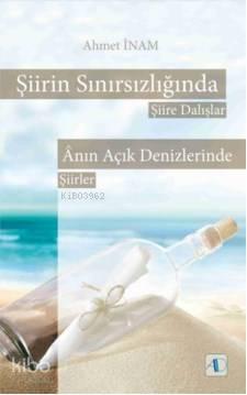 Şiirin Sınırsızlığında; Şiire Dalışlar