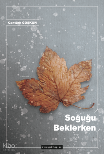 Soğuğu Beklerken | benlikitap.com