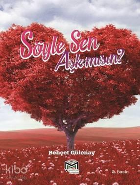 Söyle Sen Aşk mısın?