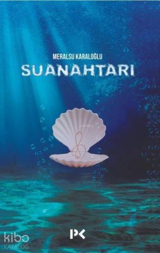 Su Anahtarı