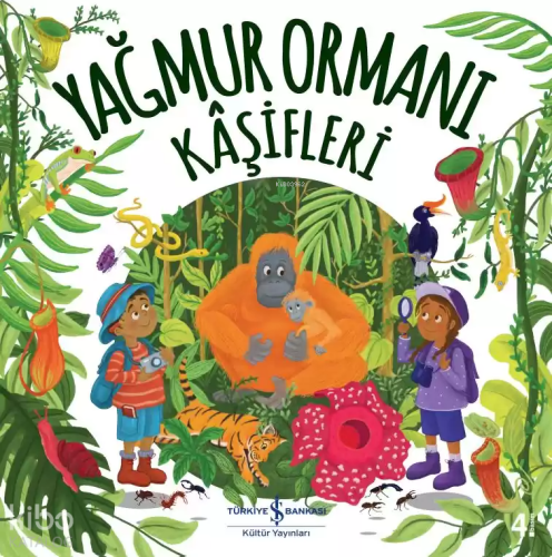 Yağmur Ormanı Kaşifleri
