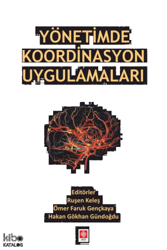 Yönetimde Koordinasyon Uygulamaları | benlikitap.com