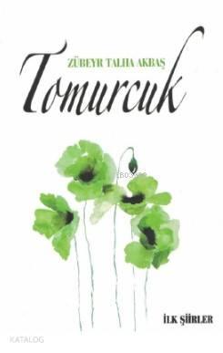 Zübeyr Talha Akbaş